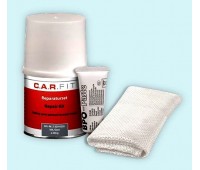 CarFit (2-222-0250) Набор для ремонта пластиков (смола 250 мл, стеклоткань)